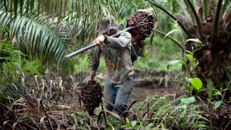 © AP PHOTO/RODRIGO ABD