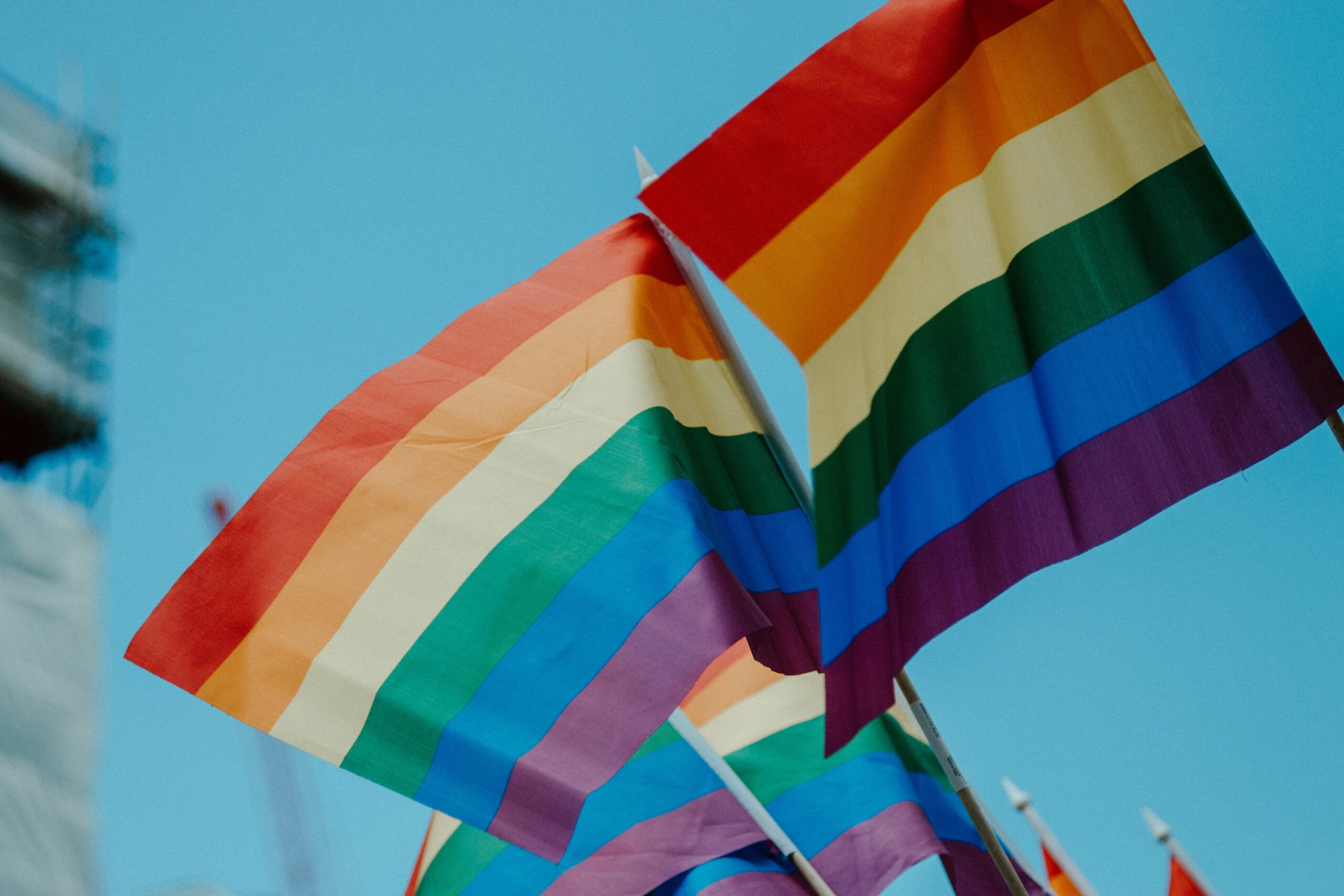 © Daniel James - Unsplash