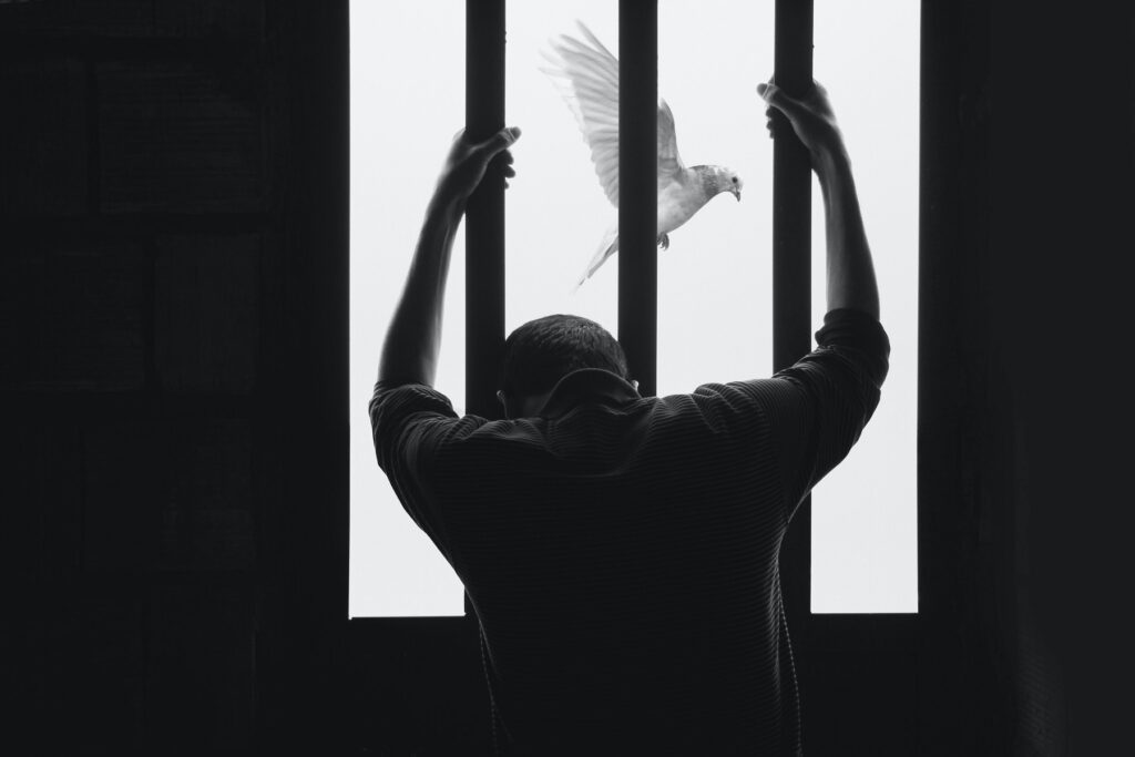 © Hasan Almasi - Unsplash